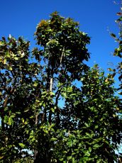 Ecstatic 3 Days Ayodhya Hills Tour Package