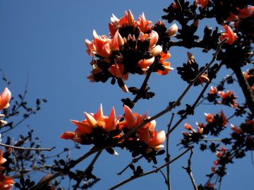 Ecstatic 3 Days Ayodhya Hills Tour Package