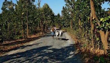 Ecstatic 3 Days Ayodhya Hills Tour Package