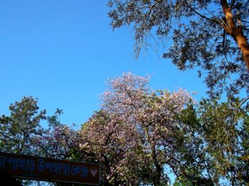 Ecstatic 3 Days Ayodhya Hills Tour Package