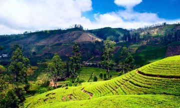 5 Days 4 Nights Darjeeling and Gangtok Vacation Package