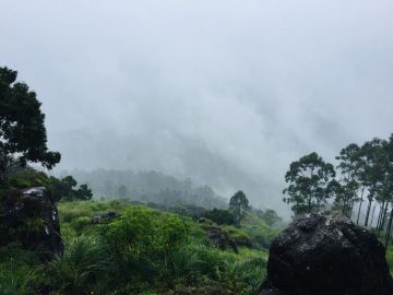 Memorable 7 Days 6 Nights Cochin, Munnar, Thekkady and Alleppey Tour Package