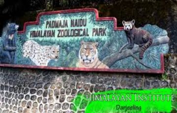 DARJEELING TOUR DURING DURGA PUJA