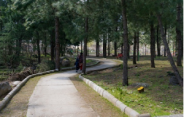 Beautiful 4 Days Chandigarh to Manali Holiday Package