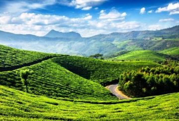 Family Getaway 7 Days Cochin to Munnar Trip Package