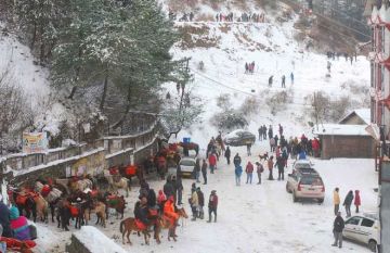 Amazing Shimla Manali