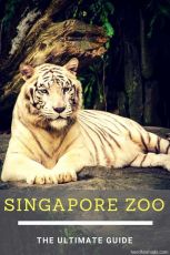 Family Getaway 3 Days 2 Nights Singapore To Night Safari Tour Package