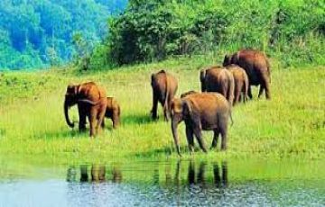 Amazing 4 Days 3 Nights cochin, munnar, alleppey with departure Tour Package