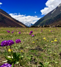 Magical 4 Days Gangtok to Lachung Tour Package