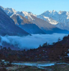 Best 5 Days 4 Nights Yumthang Valley Trip Package