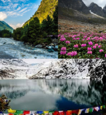 Ecstatic Yumthang Valley Tour Package for 3 Days 2 Nights
