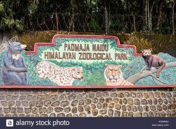 Magical 5 Days 4 Nights Bagdogra and Darjeeling Holiday Package