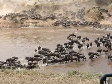 Best 8 Days Arusha to Tarangire National Park Holiday Package