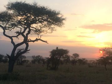 Best 8 Days Arusha to Tarangire National Park Holiday Package