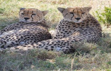 Best 8 Days Arusha to Tarangire National Park Holiday Package