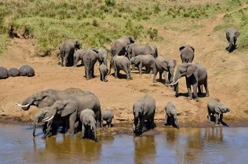 Best 8 Days Arusha to Tarangire National Park Holiday Package