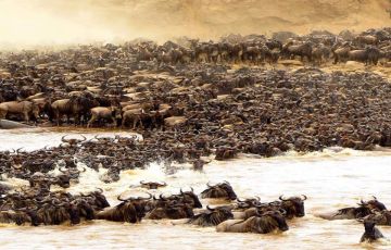 Best 8 Days Arusha to Tarangire National Park Holiday Package