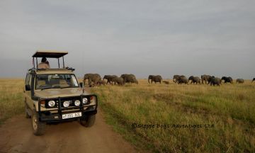 Best 8 Days Arusha to Tarangire National Park Holiday Package