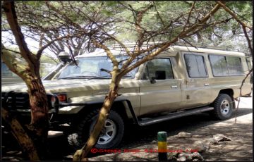 Best 8 Days Arusha to Tarangire National Park Holiday Package