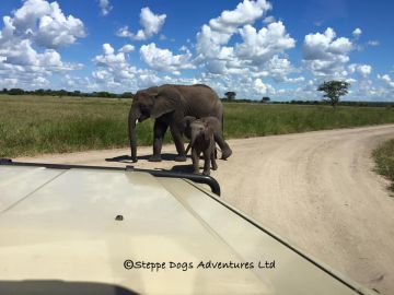 Best 8 Days Arusha to Tarangire National Park Holiday Package