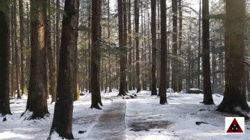 Magical 4 Days 3 Nights Manali Tour Package by Kay cube travel solution