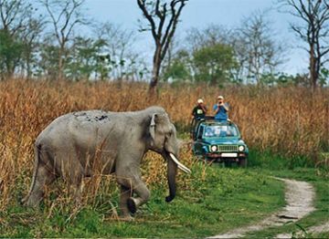 Ecstatic 3 Days 2 Nights Jim Corbett and Delhi Tour Package