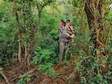 Ecstatic 3 Days 2 Nights Jim Corbett and Delhi Tour Package