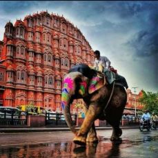 Heart-warming 4 Days 3 Nights Jaipur and Udaipur Tour Package