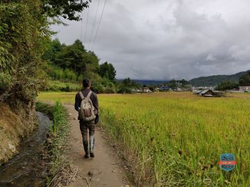 Pleasurable 6 Days 5 Nights Ziro, Majuli with Dibru Saikhoa Trip Package