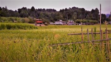 Pleasurable 6 Days 5 Nights Ziro, Majuli with Dibru Saikhoa Trip Package