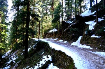 Best 5 Days 4 Nights Delhi and Manali Trip Package