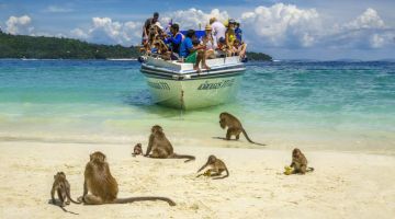 Amazing Phuket Tour Package for 4 Days 3 Nights