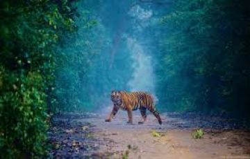 3 Days Corbett and Delhi Holiday Package