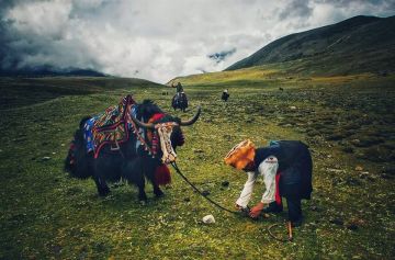 Best 5 Days 4 Nights Bagdogra, Lachen, Lachung with Gangtok Tour Package