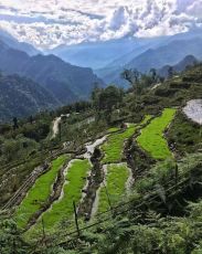Family Getaway 7 Days 6 Nights Bagdogra, Lachung, Yumthang Valley And Gangtok with Changu Holiday Package