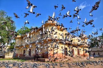 Heart-warming 3 Days Jaipur Trip Package by Travel Tales