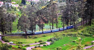 Family Getaway 6 Days Mysore To Ooty Tour Package