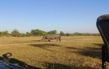 Memorable 4 Days Kruger Np To Johannesburg to Kruger Np  Panorama Route Trip Package