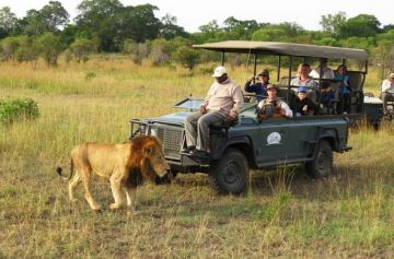 Best 13 Days 12 Nights Mpumalanga Tour Package