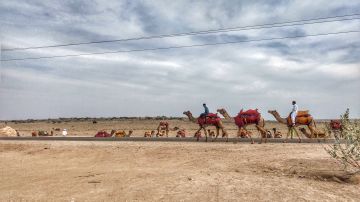 Experience Jaisalmer Tour Package for 3 Days