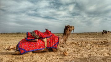 Experience Jaisalmer Tour Package for 3 Days