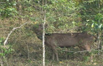 Experience Rishikesh Tour Package for 7 Days