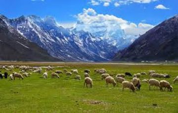 Experience 3 Nights 4 Days Srinagar Trip Package