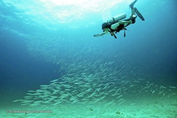 9 Days 8 Nights Goa, North Goa, South Goa with Mumbai Vacation Package