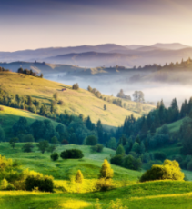 Ecstatic 8 Days 7 Nights Lachen Holiday Package