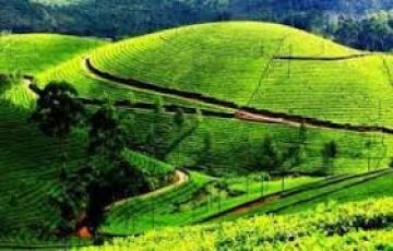 Magical Darjeeling Tour Package for 5 Days 4 Nights from Bagdogra