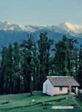 Amazing 3 Days Darjeeling and Gangtok Tour Package