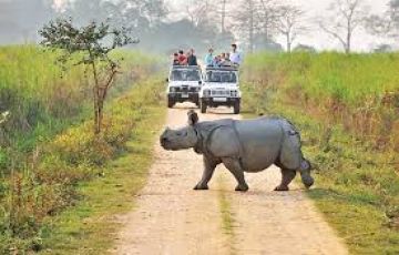 Kaziranga Tour Package for 16 Days 15 Nights from Guwahati