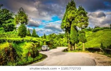 Beautiful 5 Days 4 Nights Gangtok with Bagdogra Trip Package