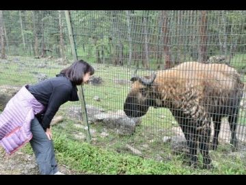 Pleasurable 7 Days Paro International Airport to Punakha Trip Package